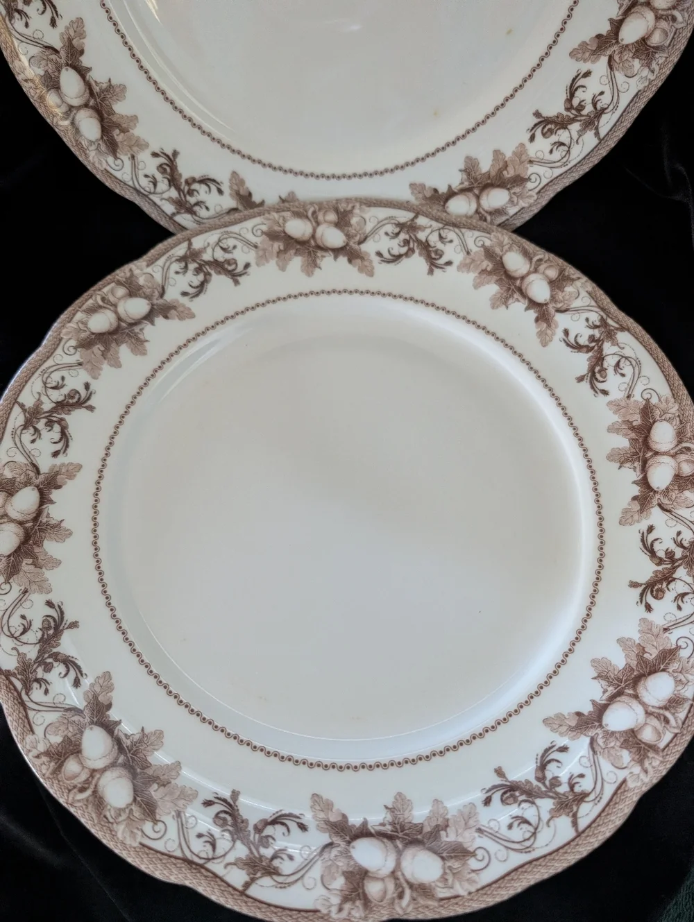 Williams Sonoma Cream Dinner Plates with Brown Floral Border